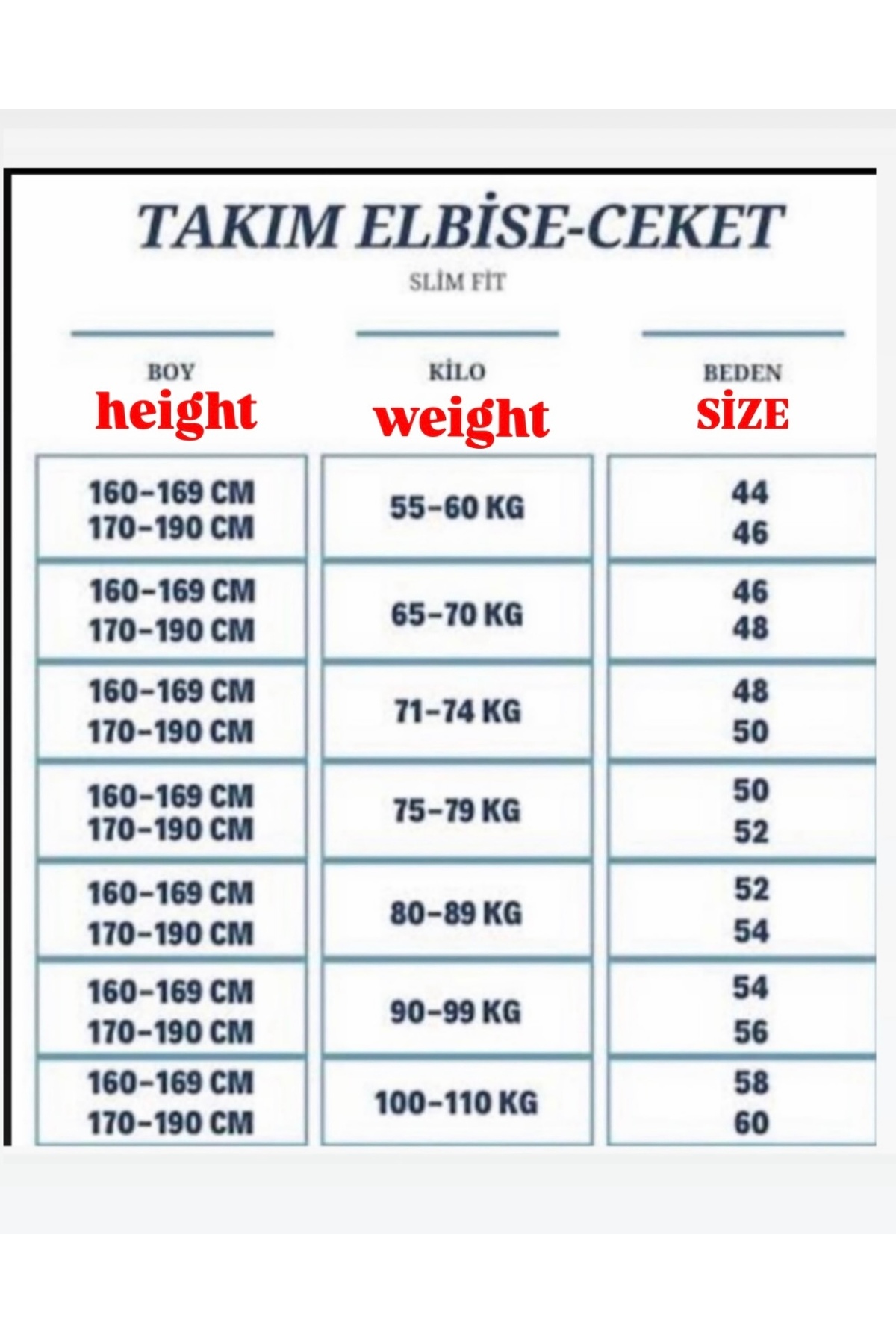 Kırlangıç50
